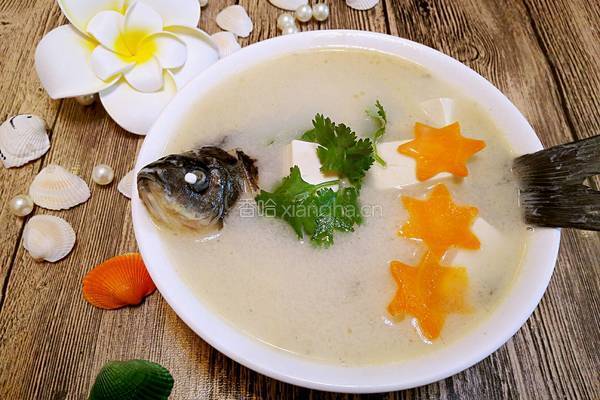 鲫鱼豆腐汤的做法图解5