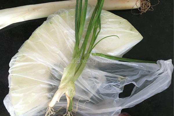 冬瓜绿豆排骨汤的做法图解1