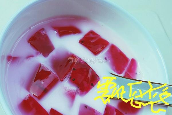 火龙果白凉粉果冻牛奶的做法图解1