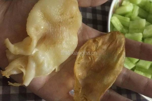 凉拌花胶的做法图解2