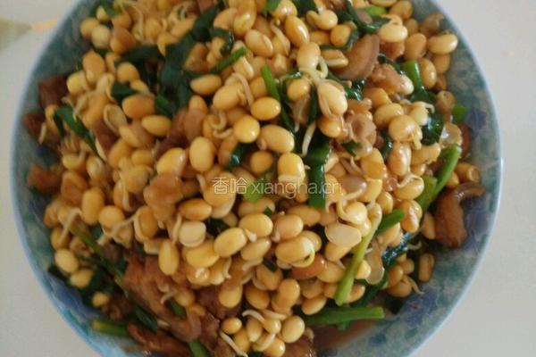 炒黄豆芽的做法图解5