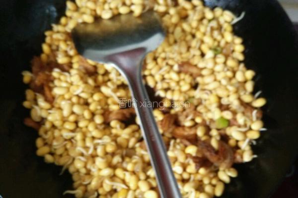 炒黄豆芽的做法图解4