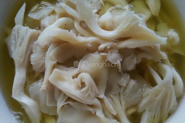 煮鸡油菌的做法图解5