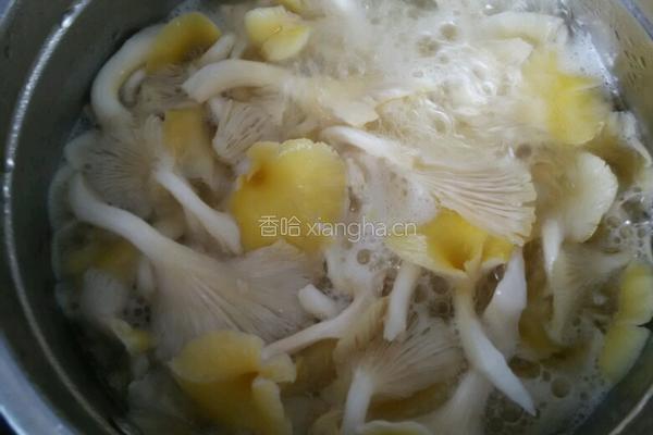 煮鸡油菌的做法图解3