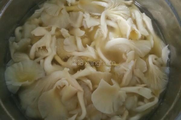 煮鸡油菌的做法图解4