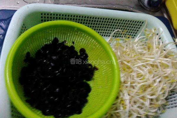 凉拌豆芽木耳的做法图解1
