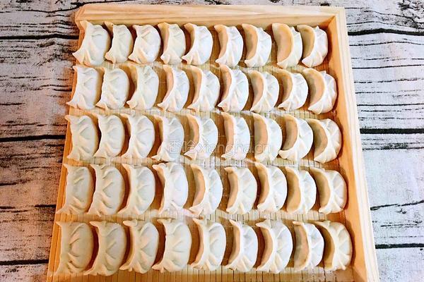 茴香鲜肉馅饺子的做法图解21