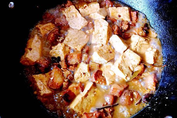 红烧肉炖豆腐的做法图解10