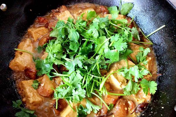 红烧肉炖豆腐的做法图解11