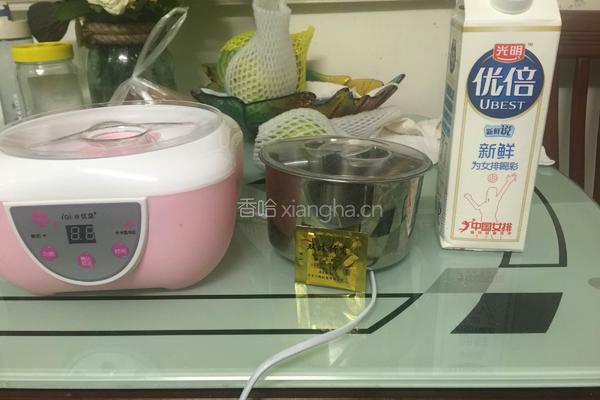diy希腊酸奶的做法图解1