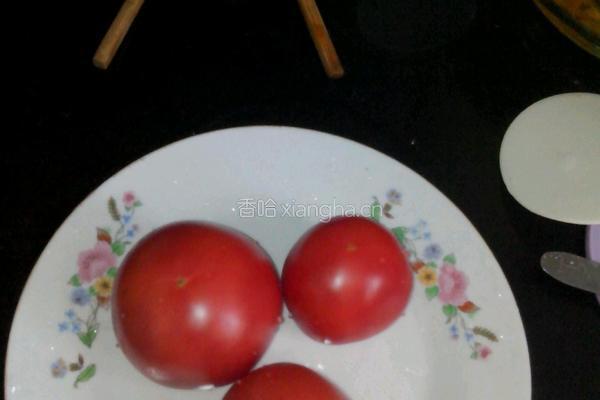 番茄炒鸡蛋的做法图解4