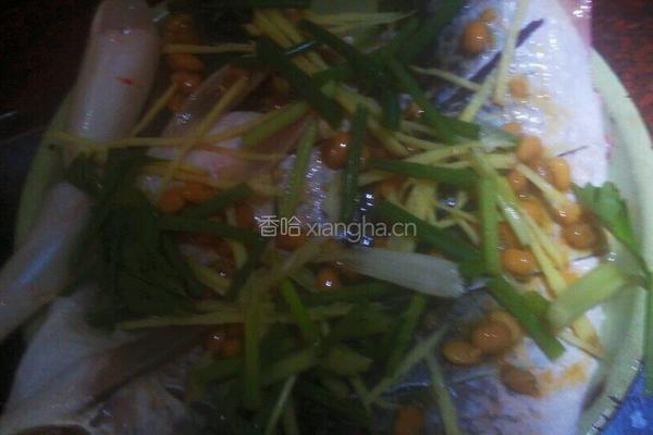 清蒸野鲮的做法图解5