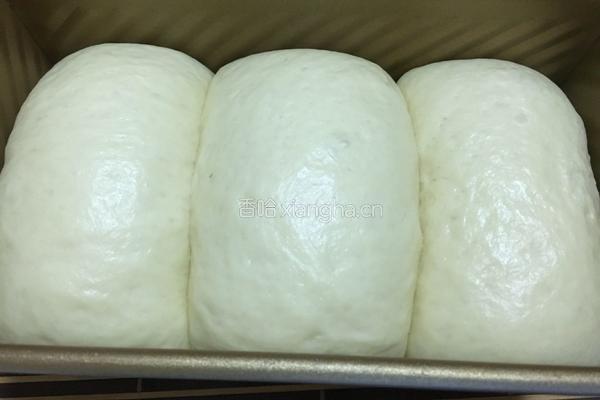 牛奶吐司的做法图解4