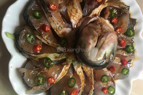 清蒸草鱼之孔雀开屏的做法图解13