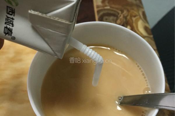 英式奶茶的做法图解4