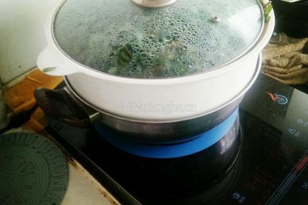 清炒马齿苋的做法图解1