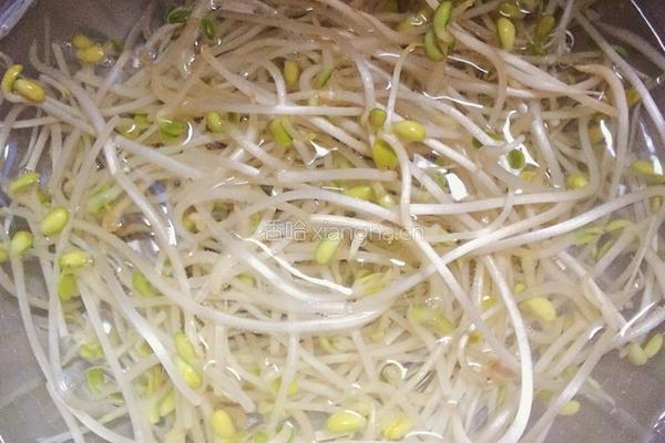 香辣水煮肉片的做法图解5