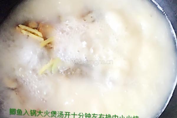 【白萝卜丝鲫鱼汤】的做法图解8