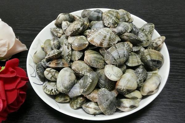 辣椒炒花甲的做法图解1