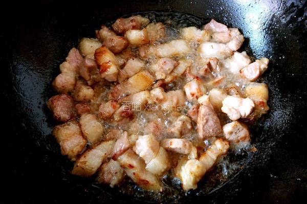 红烧肉炖豆角的做法图解4