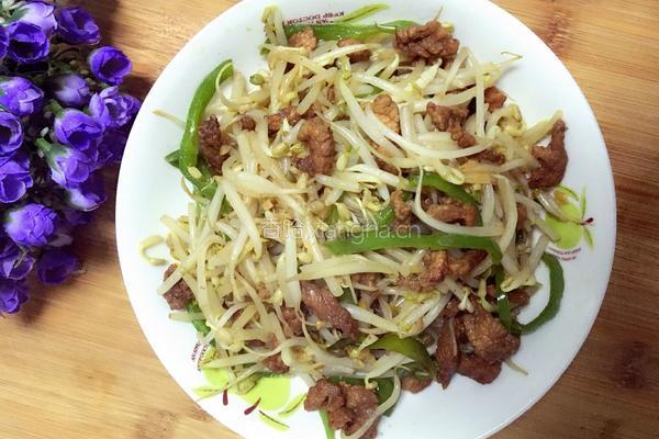 肉炒绿豆芽的做法图解7