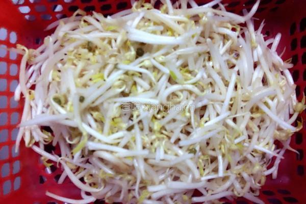 肉炒绿豆芽的做法图解1