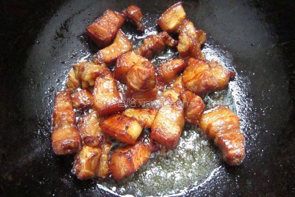 红烧东坡肉的做法图解9