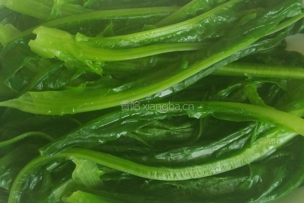 麻酱油麦菜的做法图解4