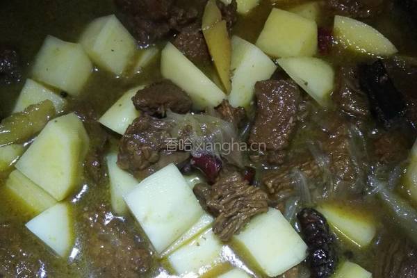 土豆烧牛肉的做法图解6