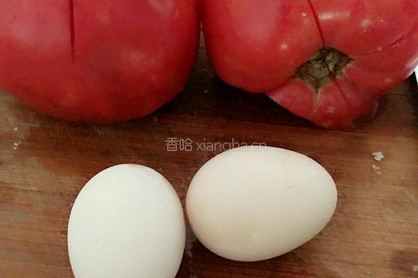 西红柿鸡蛋酱面的做法图解1