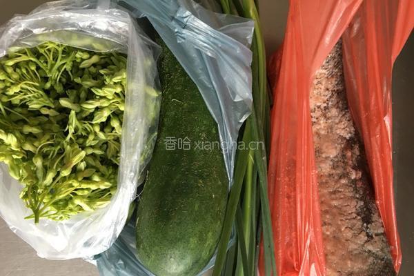 鱼尾节瓜夜兰花汤的做法图解1