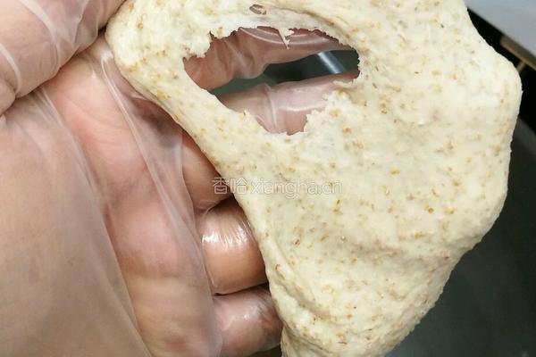 益糖全麦餐包(糖尿病糖友食谱)(减肥瘦身适用)的做法图解5