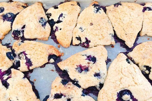 蓝莓柠檬司康(scone)的做法图解11