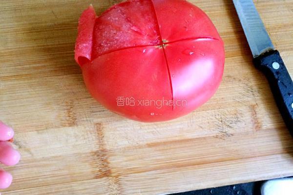 家庭版番茄酱的做法图解2