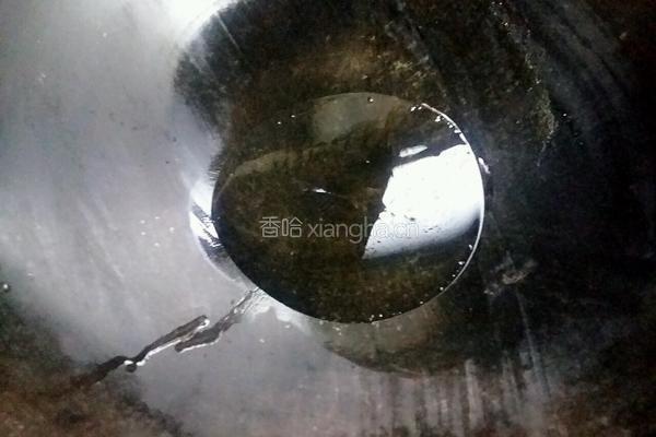 爆炒麻辣鸭肠的做法图解4