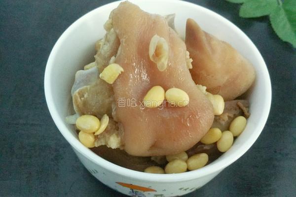黄豆炖猪蹄的做法图解10