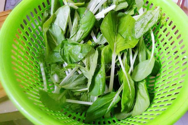 清炒小白菜的做法图解1