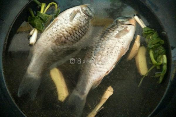 鲫鱼汤的做法图解3