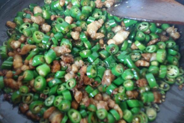 杭椒肉丁的做法图解5