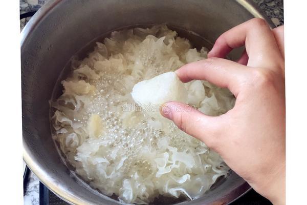 红枣枸杞银耳汤的做法图解5