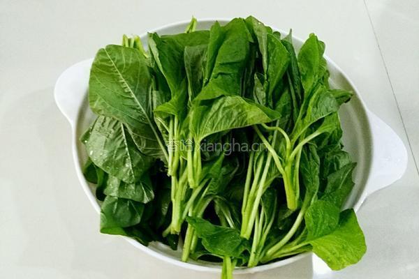 凉拌银子菜的做法图解1