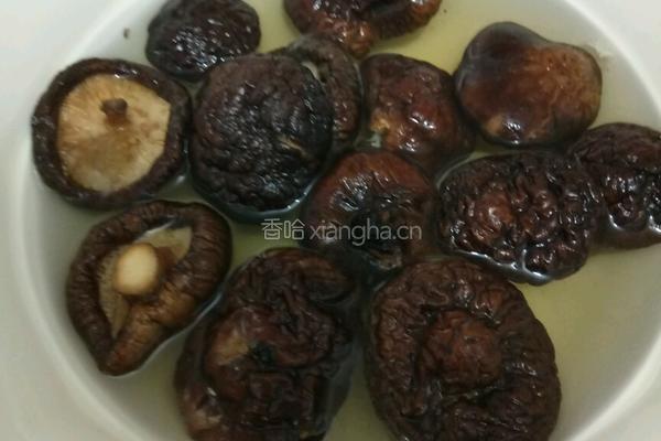 香菇烧鸡的做法图解2