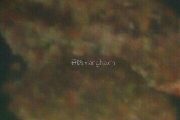 红椒鸡蛋饼的做法图解3