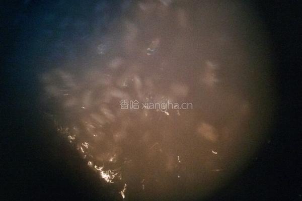 炒猫耳朵的做法图解11