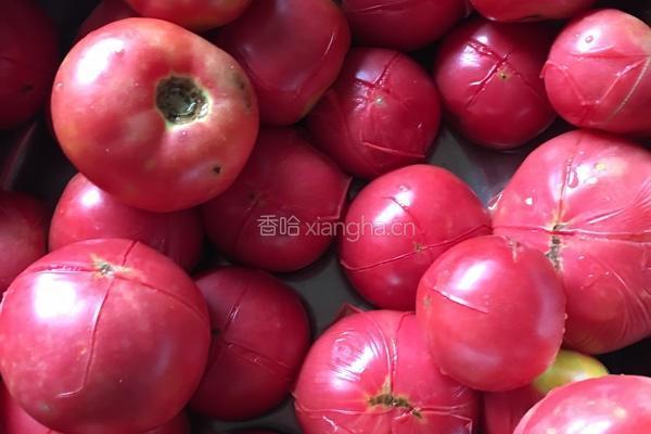 番茄酱（西红柿酱🍅）的做法图解3