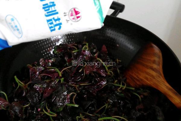上汤苋菜的做法图解4