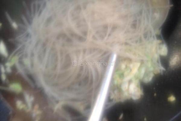 包菜粉丝的做法图解6