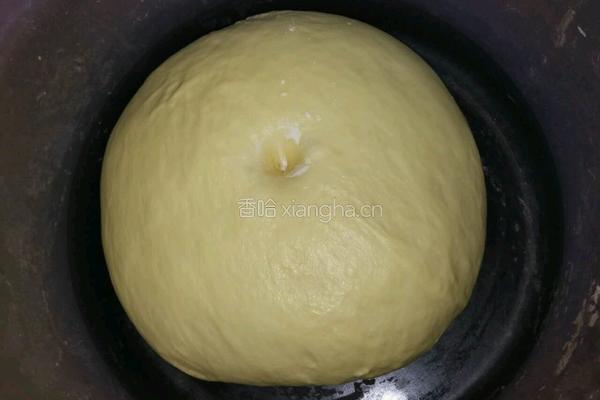 酸奶面包的做法图解5
