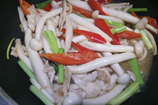 海鲜菇炒鸡丝的做法图解8