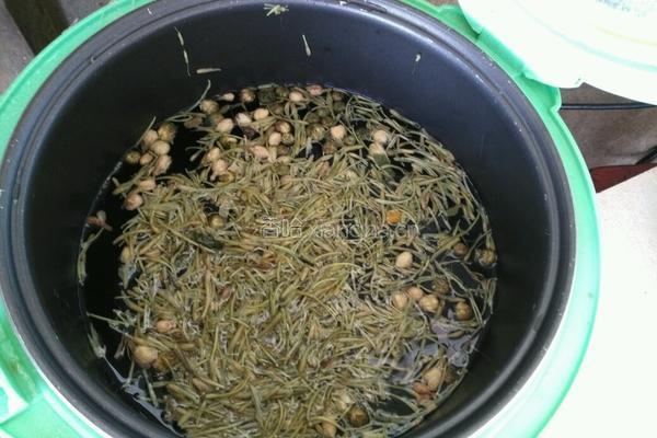 三花茶的做法图解2